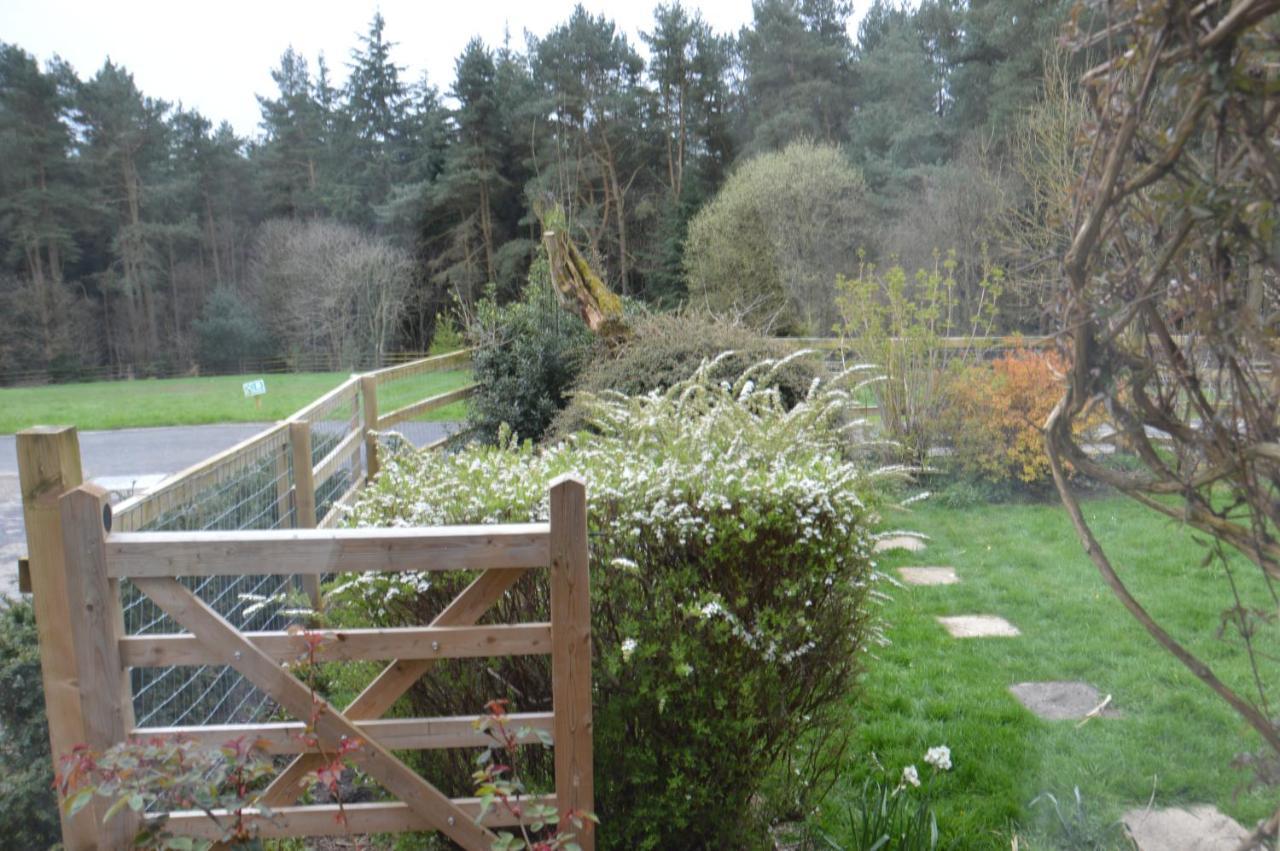 Middlehead Cottages Pickering Eksteriør bilde